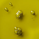 Simmer Down - Balancing Facial Oil