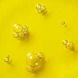 The Daily Glow - Morning Facial Oil